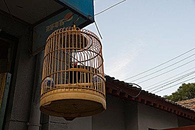 PC版《艾尔登法环》下午四点服务器维护 时长约2个小时